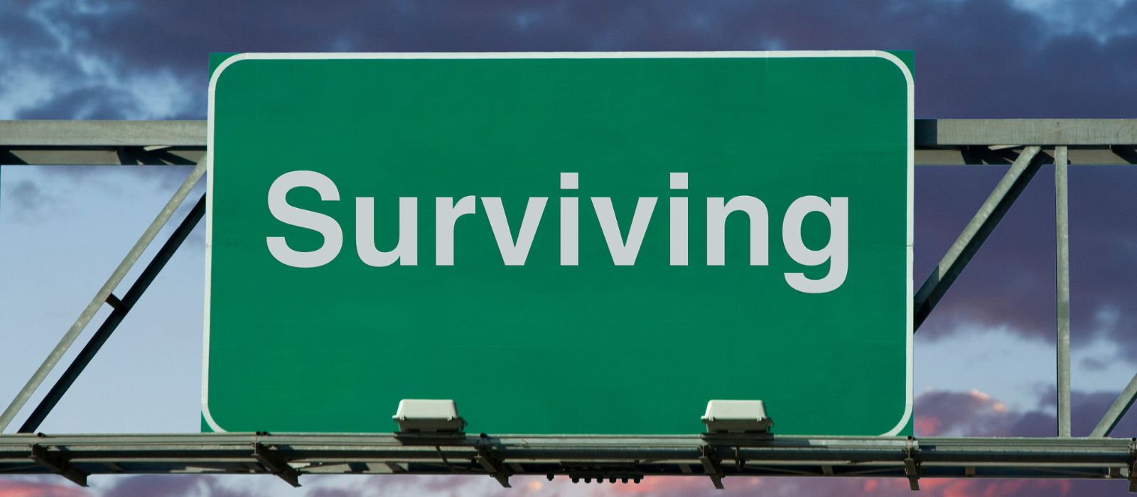 Survival Mode 101: Recognizing the Signs and How to Exit