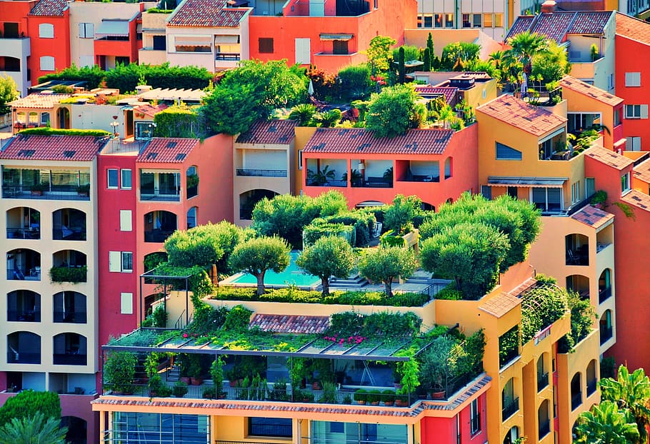 Rooftop Gardening for Urban Dwellers: Creating Sustainable Green Spaces