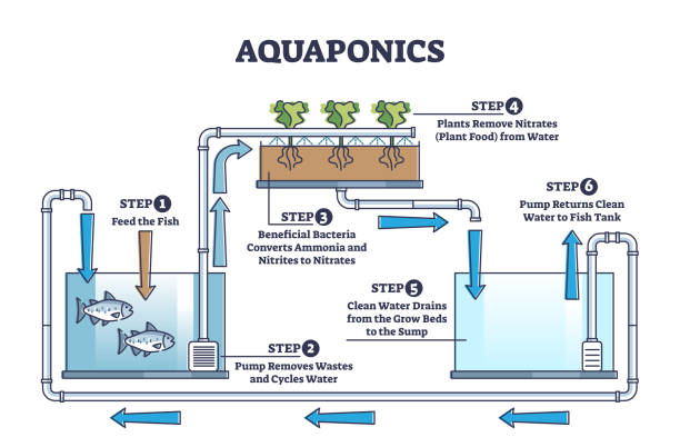 Discover the Incredible Benefits of Aquaponics